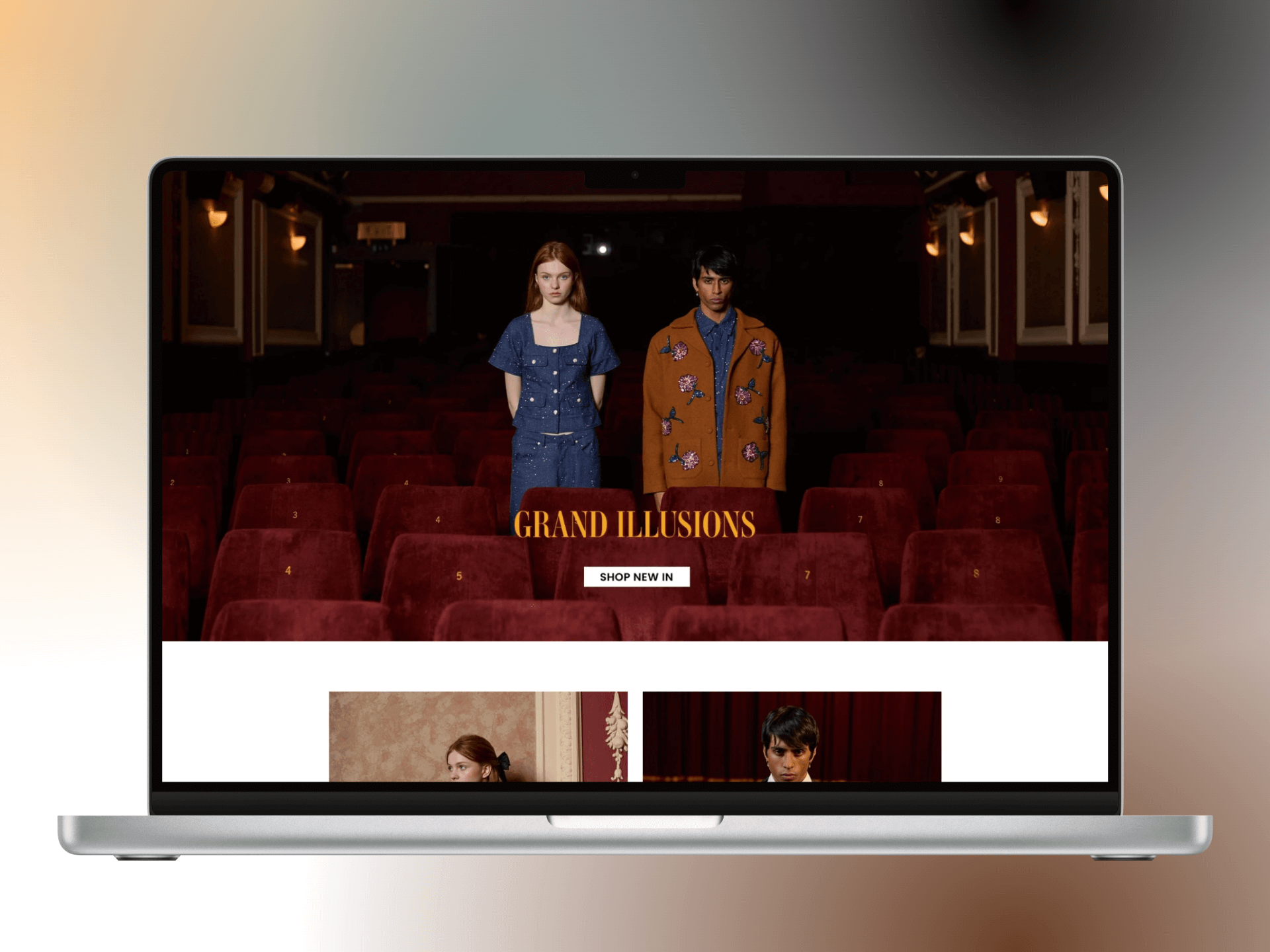 Image hover effect image